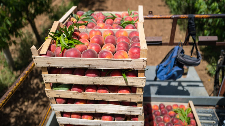 box of peaches