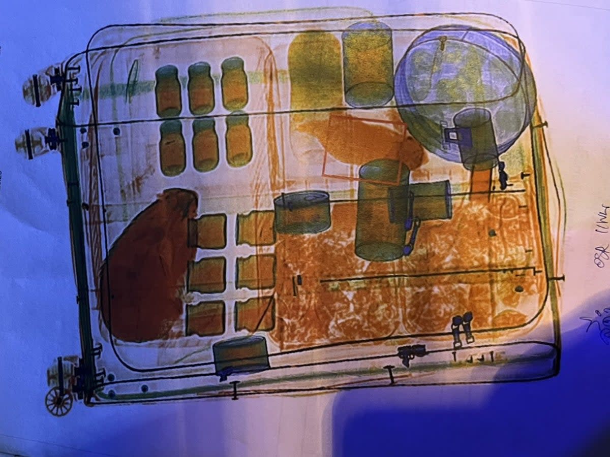 Rendering of X-ray of suitcase with animals inside (Thailand Department of National Parks, Wildlife and Plant Conservation)