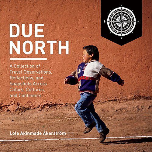 <i>Due North</i> by Lola Akinmade Åkerström