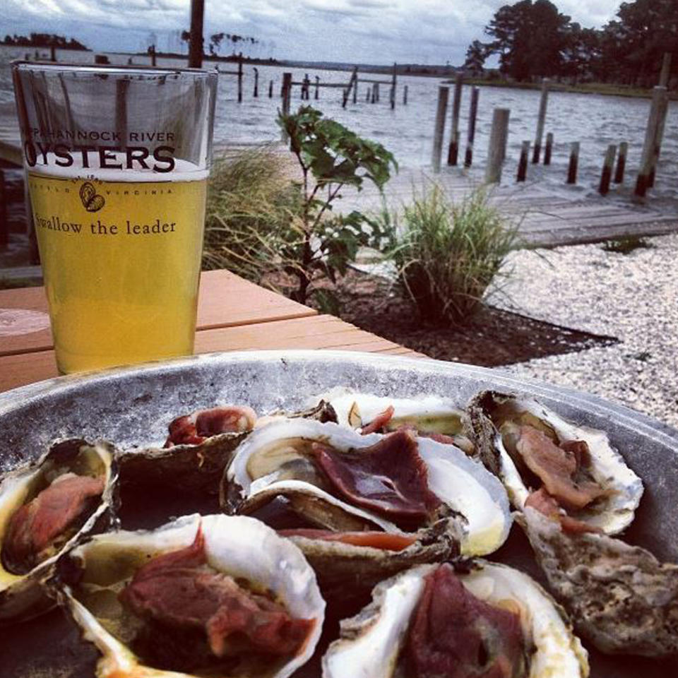 Sample Virginia Oysters