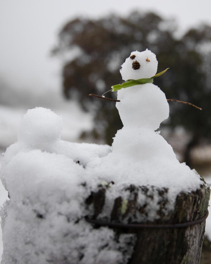 A minature snowman on a cattle yard fence