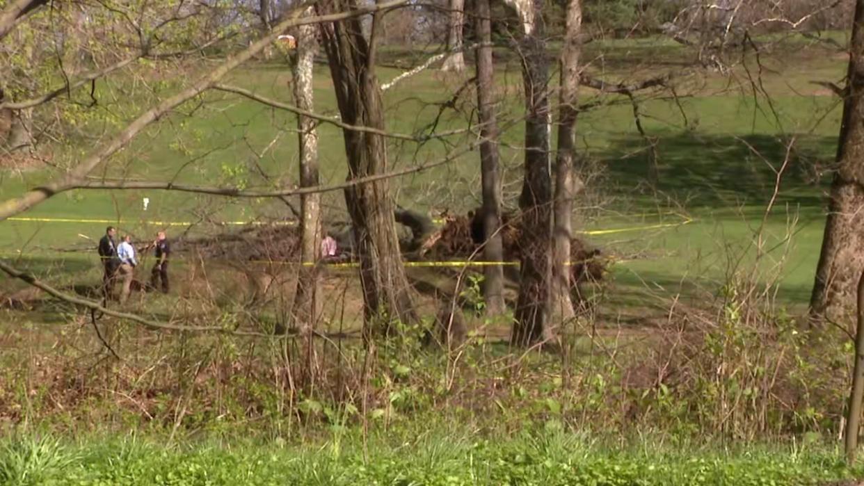 <div>A large tree fell at JC Melrose Country Club, and one person riding in a golf cart died after the tree fell.</div>