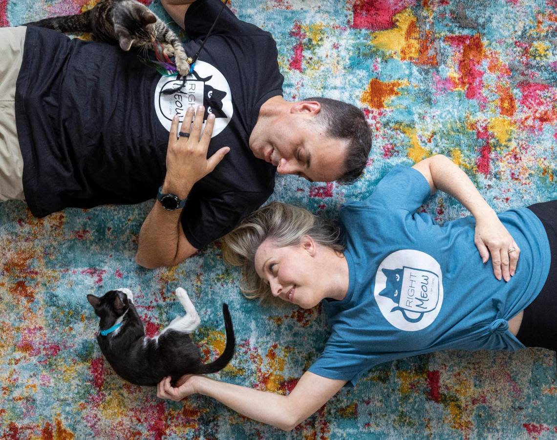 Damion Posey and is wife Kayleigh Posey play with two of the felines at their Right Meow Cat Cafe on Monday, July 3, 2023 in Fuquay-Varina, N.C. The couple have started their business on S. Main Street, where you can purchase a variety of beverages including coffee and boba tea and relax in the cafe, or reserve time in the cat area, where you can mingle with several cats that are also available for adoption.