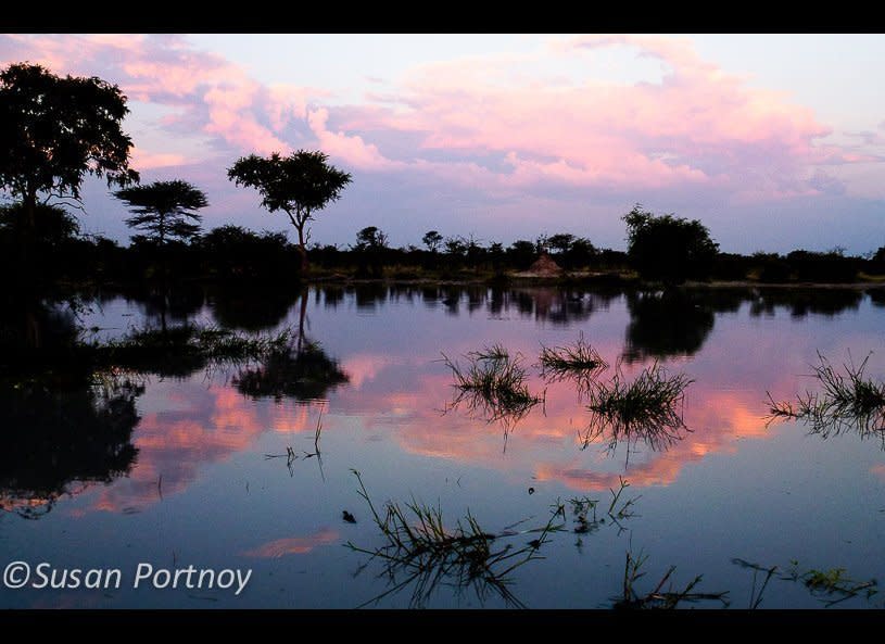 Sunset on the Okavango Delta.         © Susan Portnoy  Chitabe Camp, Botswana