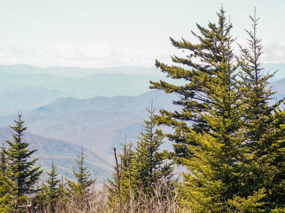 The trail to Clingman's Dome in Great Smoky Mountains National Park in April 2023.