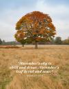 <p>“November’s sky is chill and drear, November’s leaf is red and sear.”</p>