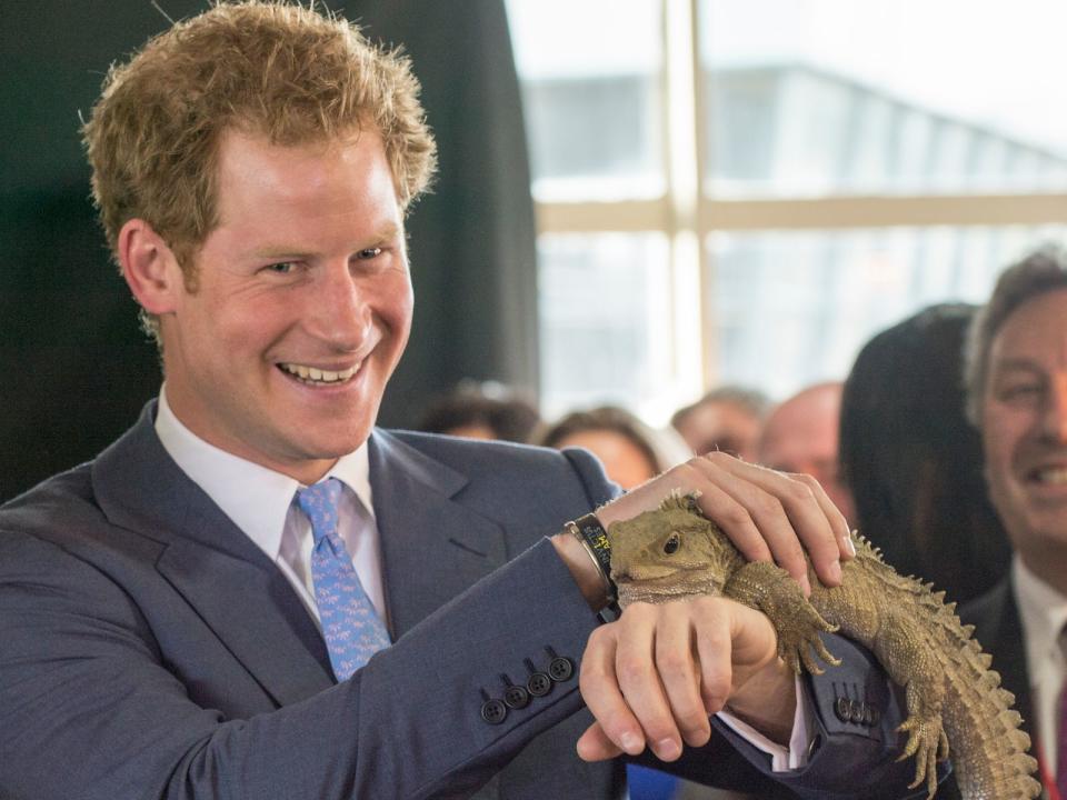 Auch Prinz Harry machte 2015 eher gute Miene ... (Bild: Arthur Edwards - Pool/Getty Images)