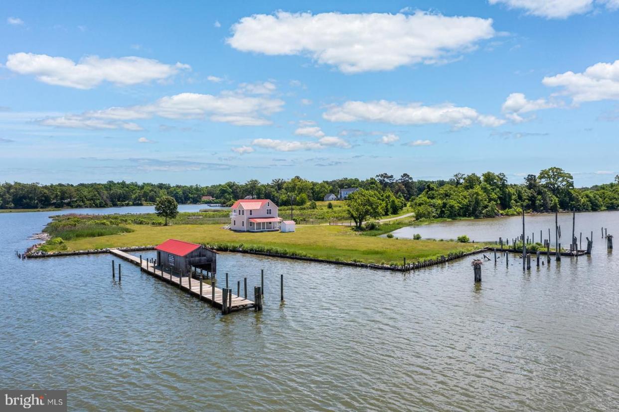 The Playground of the Potomac