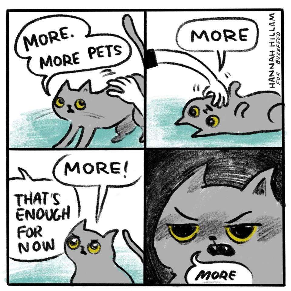 cartoon about a cat being pet