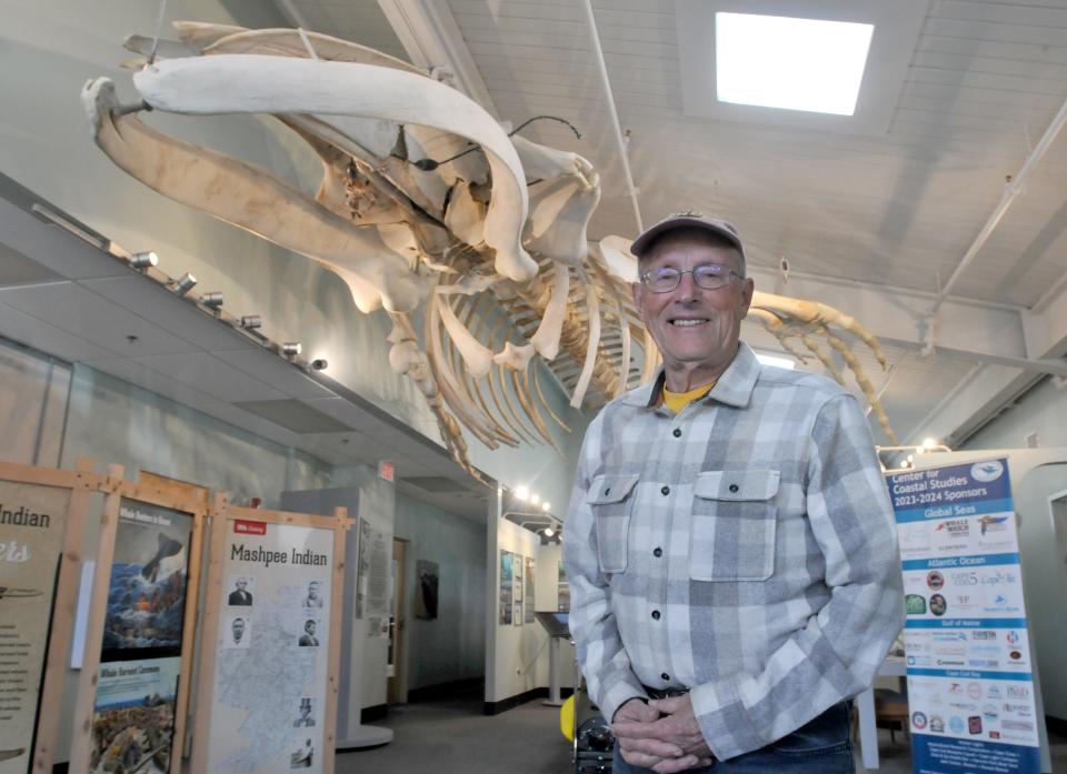Charles "Stormy" Mayo is retiring for his position as director of the right whale ecology program at the Center for Coastal Studies in Provincetown. He was photographed Tuesday in front of the center's preserved skeleton of Spinnaker, an 11-year old humpback whale.