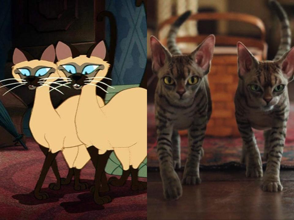 cats animated live action