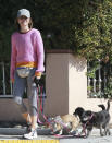 <p>Calista Flockhart steps out in Santa Monica, California, to walk her three dogs on Monday.</p>