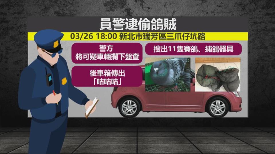 車裡有咕咕聲！ 警臨檢破獲擄鴿集團