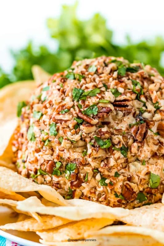 <p>Spend With Pennies</p><p>Grab an extra packet of taco seasoning so you can make this any time you want.</p><p><strong>Get the recipe: <a href="https://www.spendwithpennies.com/taco-cheese-ball-recipe/" rel="nofollow noopener" target="_blank" data-ylk="slk:Taco Cheese Ball;elm:context_link;itc:0;sec:content-canvas" class="link rapid-noclick-resp">Taco Cheese Ball</a></strong></p>