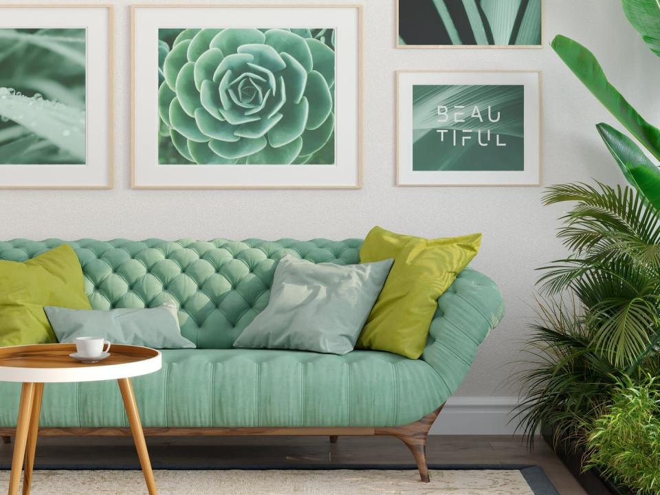 A light-green sofa with blue and lime-green pillows and several prints of plants in frames on wall