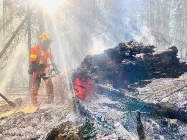 B.C. Wildfire Service