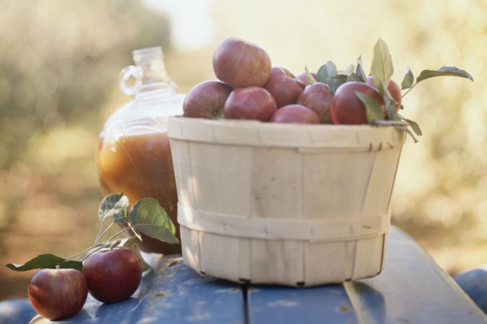 Amy Neunsinger/The Image Bank/Getty Images Stock photo of apple cider