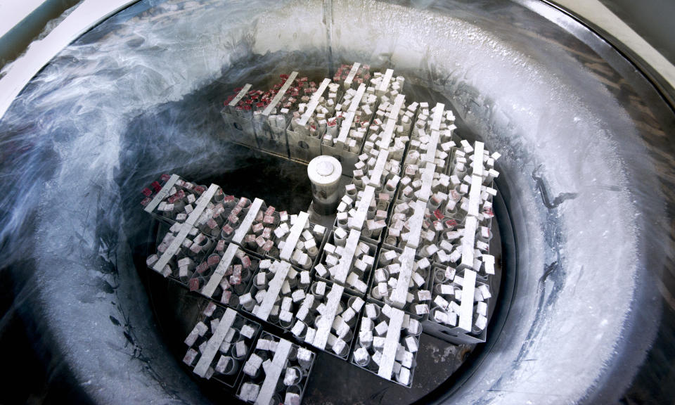 冷凍胚胎被冷凍在液氮罐中。（示意圖/Getty Images）
