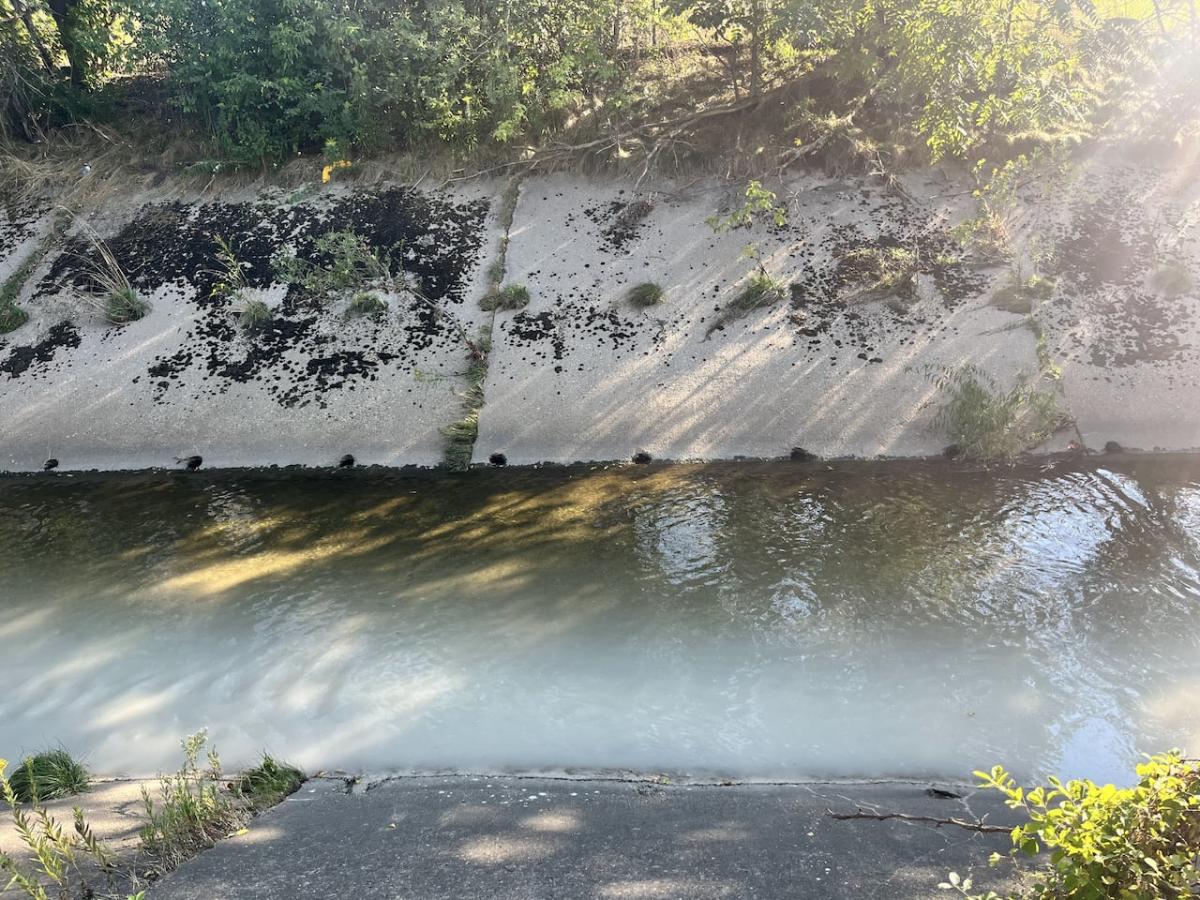 City crews working to clean ‘milky white substance’ spilling into Kitchener’s Schneider Creek