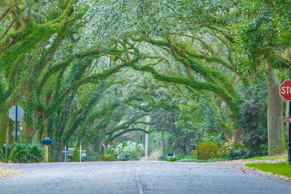 Oak Street , Magnolia Springs , Alabama USA