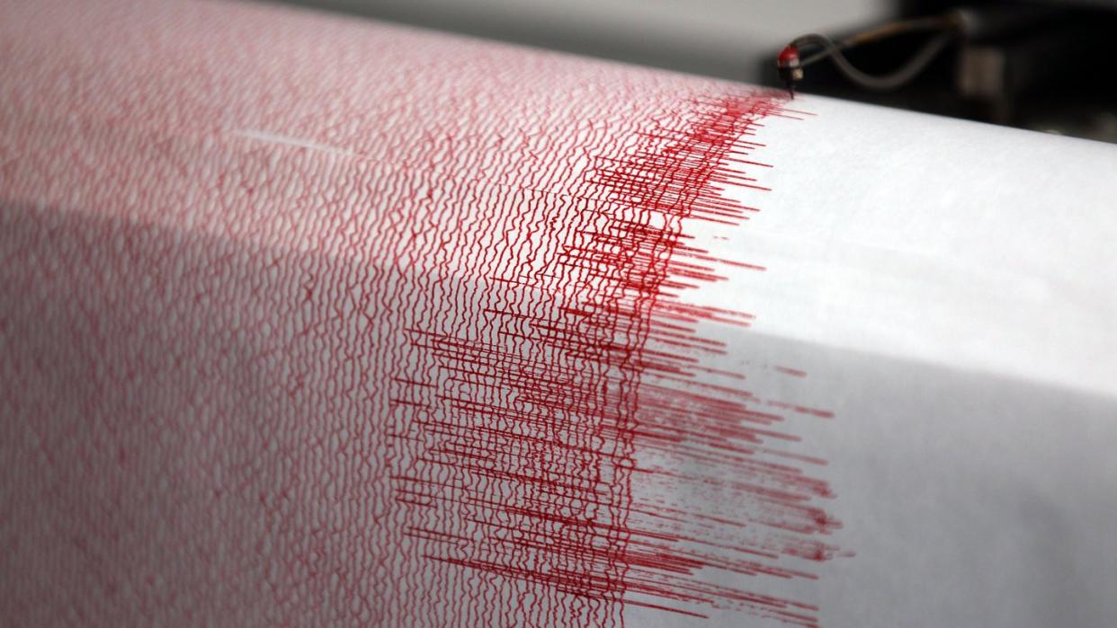 Seismograph einer Erdbebenwarte. Ein Erdbeben der Stärke 4,2 hat das Vogtland erschüttert. 
Foto: Oliver Berg/Archiv