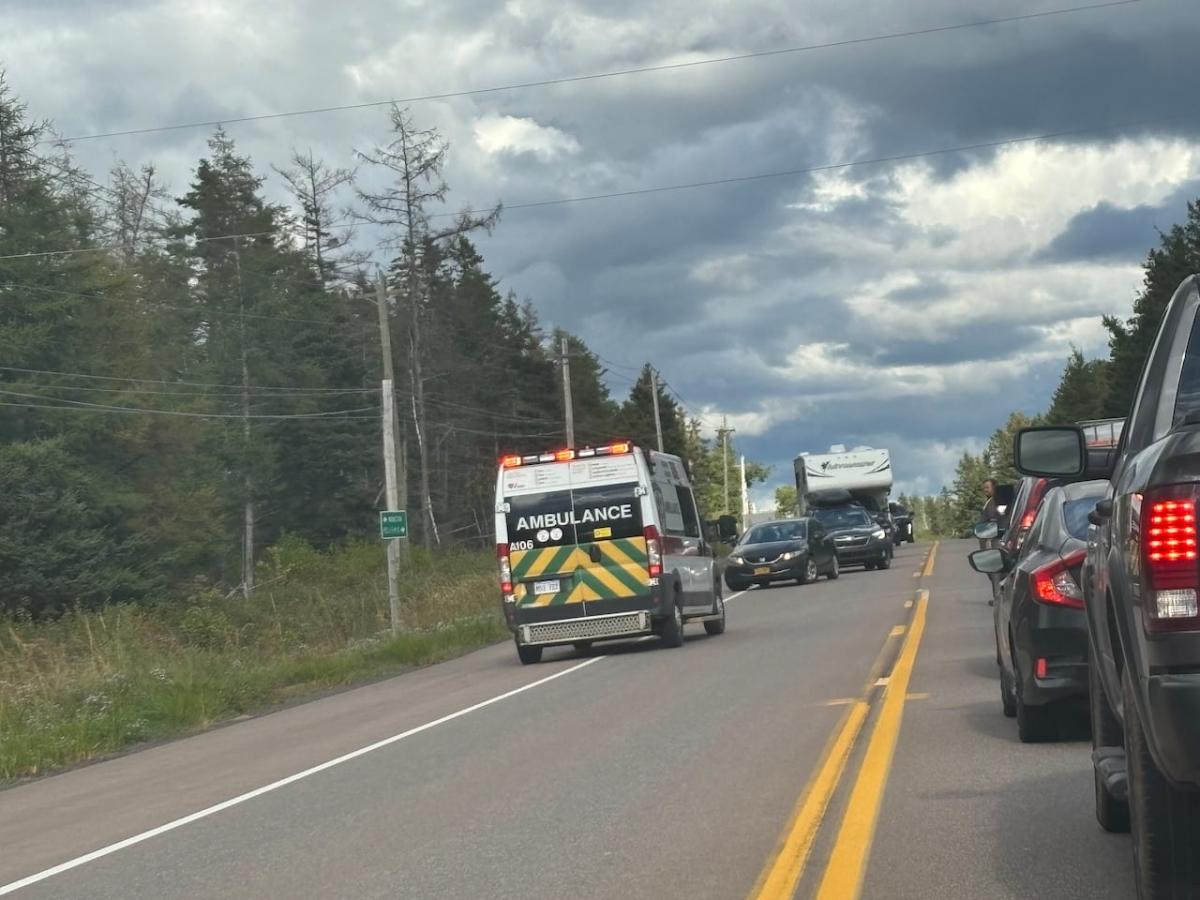 2 Charlottetown residents killed in highway collision in N.B.