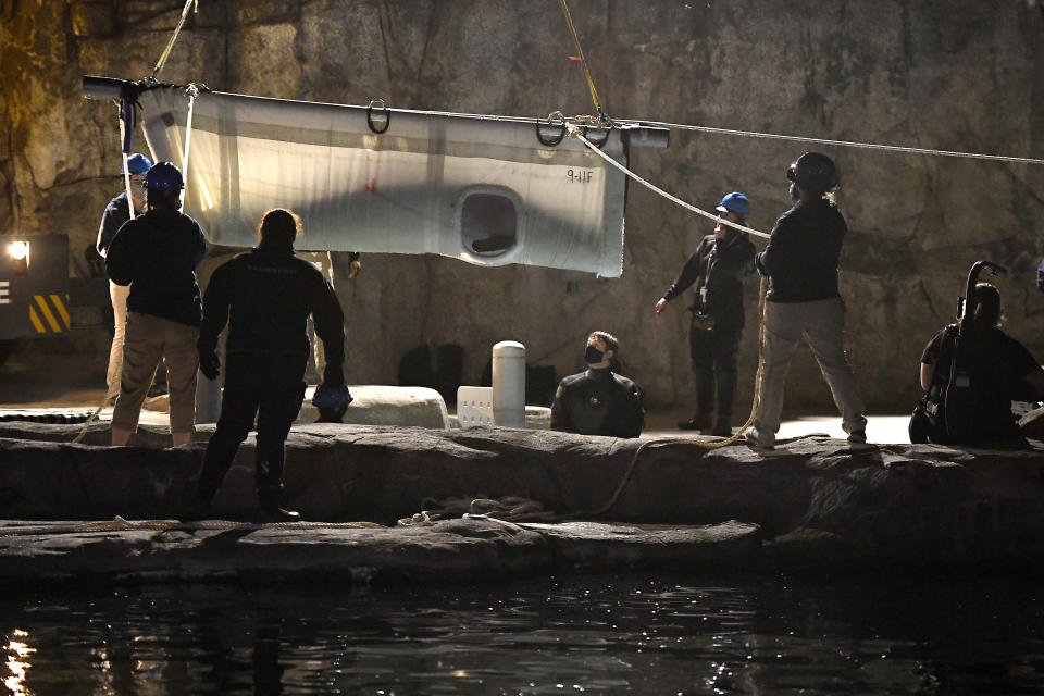 A Beluga whale is transported at Mystic Aquarium after arriving from Canada, Friday, May 14, 2021 in Mystic, Conn. A total of five Beluga whales from Marineland in Niagara Falls, Ontario,Canada will be moved to the aquarium. The whales will be leaving an overcrowded habitat with about 50 other whales and will be at the center of important research designed to benefit Belugas in the wild. (AP Photo/Jessica Hill)