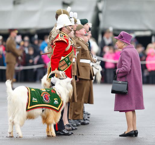 <p>Max Mumby/Indigo/Getty Images</p> Queen Elizabeth in her role as Colonel-In-Chief of The Royal Welsh in March 2017.