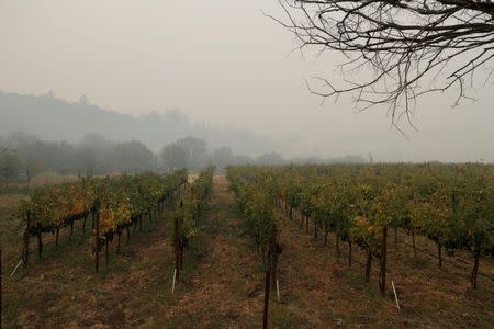 FILE PHOTO: Smoke from various wildfires are seen in Sonoma Valley along Highway 12 during the Tubbs Fire in Sonoma, California, U.S., October 10, 2017. REUTERS/Stephen Lam/File Photo