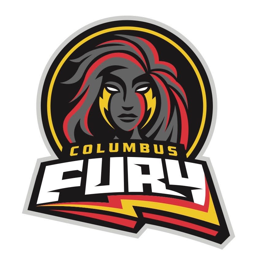 The Pro Volleyball Federation announced its team in Columbus will be known as the Columbus Fury when the league begins in February.