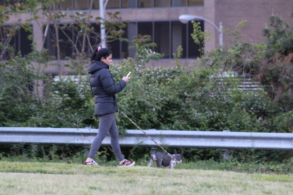 大華府犬類流感病例明顯增加，蒙郡官員呼籲少去狗公園，減少寵物社交。（記者張筠╱攝影）