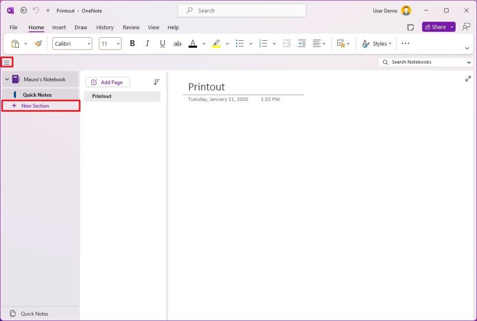 OneNote new section