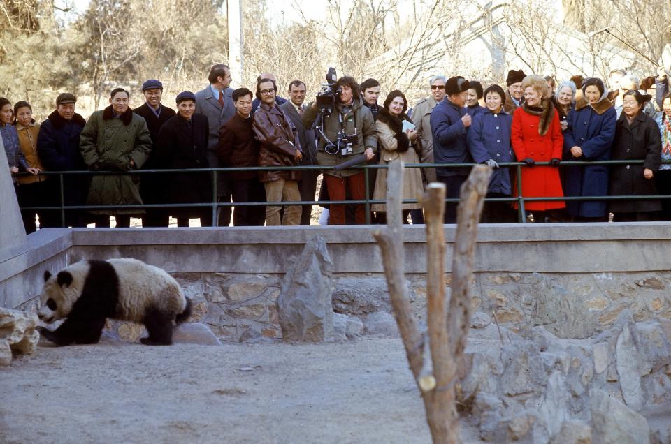 patricia nixon panda