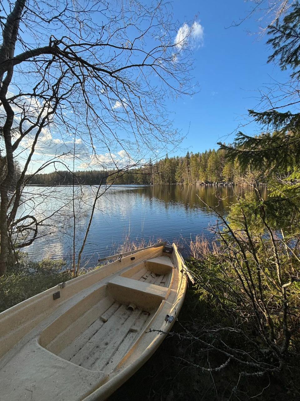 A boat on a shore in front a lake surrounded by trees.