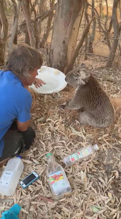 A man offers water emptied into an old sink to a koala in Adelaide, Australia, January 24, 2019, in this picture obtained from social media. Mandatory Credit MICHELE WHALL /via REUTERS