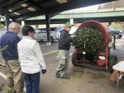 In this Wednesday, Dec. 4, 2019 photo, Bob and Jane Atkins, left, of Madison, W.Va., watch Robert Cole of French Creek Farms place their Christmas tree into a wrapping machine before being loaded onto their vehicle at the Capitol Market in Charleston, W.Va. Bob Atkins said not only are Christmas tree prices higher this year, but "there's not as many as usual, it seems to me." (AP Photo/John Raby)