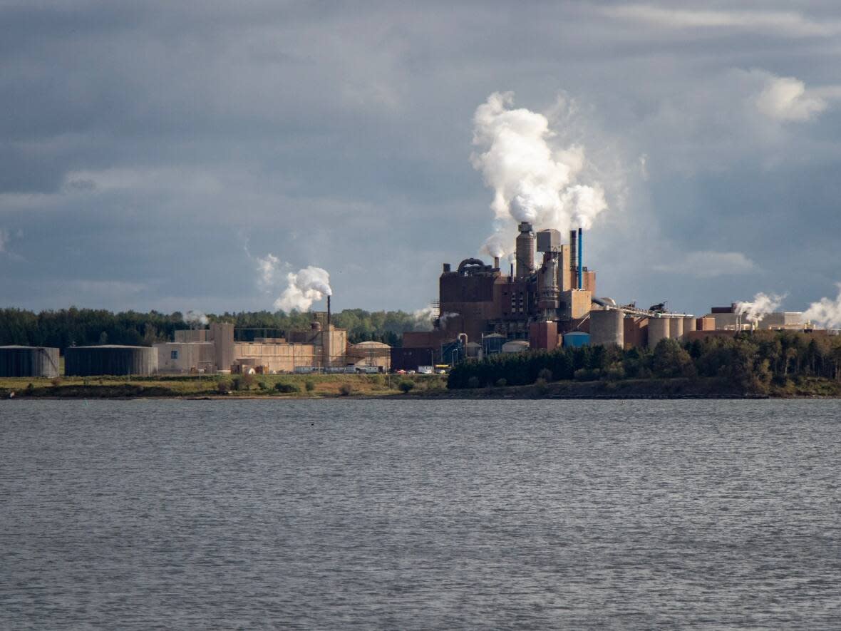 The Northern Pulp mill in Abercrombie Point, N.S., as seen in 2019. The mill ceased operations at the end of January 2020. (Robert Short/CBC - image credit)