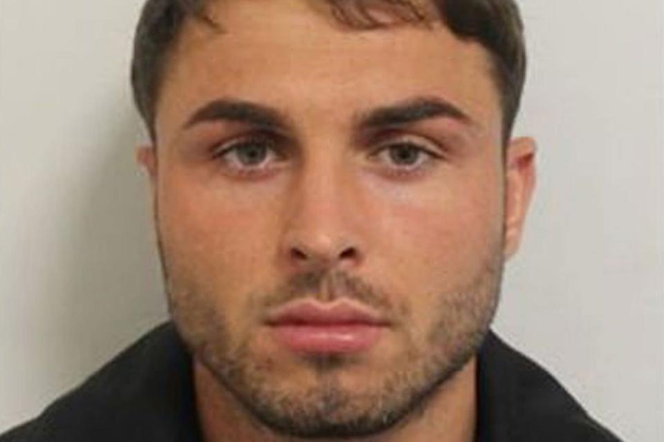 Arthur Collins was sentenced to 20 years in prison for the attack.
