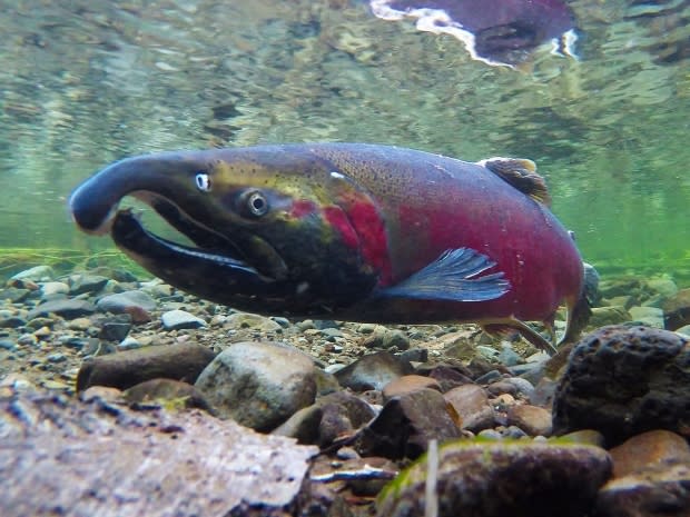 Oregon Bureau of Land Management