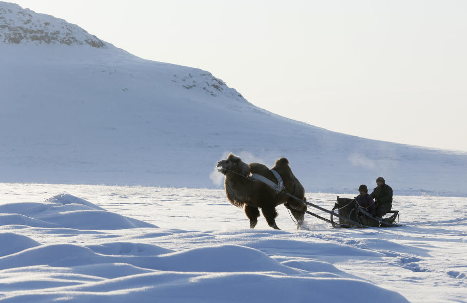 <p>Tuvan shepherds travel on a sled pulled by an Asian two-humped camel in the snow-covered steppe near the nomad camp of farmer Tanzurun Darisyu located in the Kara-Charyaa area south of Kyzyl town, the administrative center of the Republic of Tuva (Tyva region) in southern Siberia, Russia, on Feb. 14, 2018. (Photo: Ilya Naymushin/Reuters) </p>