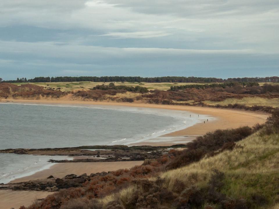 Situated in a nature reserve, this horseshoe-shaped beach is perfect for birdwatching (Getty Images/iStockphoto)