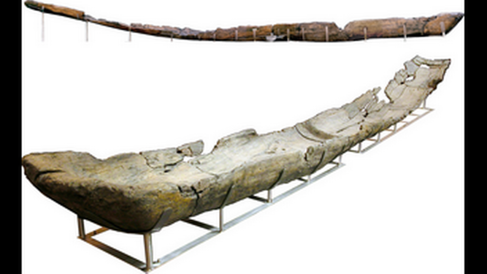 The second canoe was made from alder wood and had structures that could have been used for sailing. Gibaja et al., 2024/PLOS One