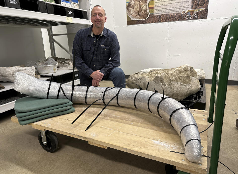 North Dakota Geologic Survey Paleontologist Jeff Person sits behind a 7-foot mammoth tusk on Tuesday, Dec. 19, 2023, at the Geologic Survey office in Bismarck, N.D. Coal miners unearthed the tusk in May 2023 at the Freedom Mine near Beulah, North Dakota. Paleontologists subsequently discovered other mammoth bones at the site. The tusk and other bones are wrapped in plastic for their protection as the paleontologists work to preserve them. (AP Photo/Jack Dura)