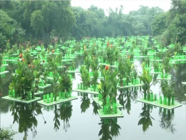 Water filter Sanjay Van Lake, New Delhi (Photo/ANI)