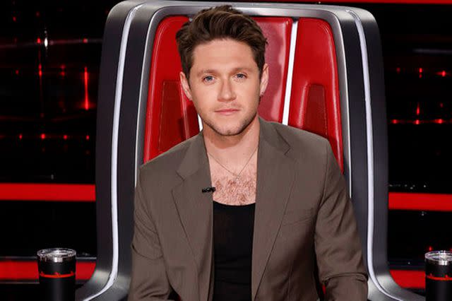 <p>Trae Patton/NBC</p> Niall Horan on The Voice