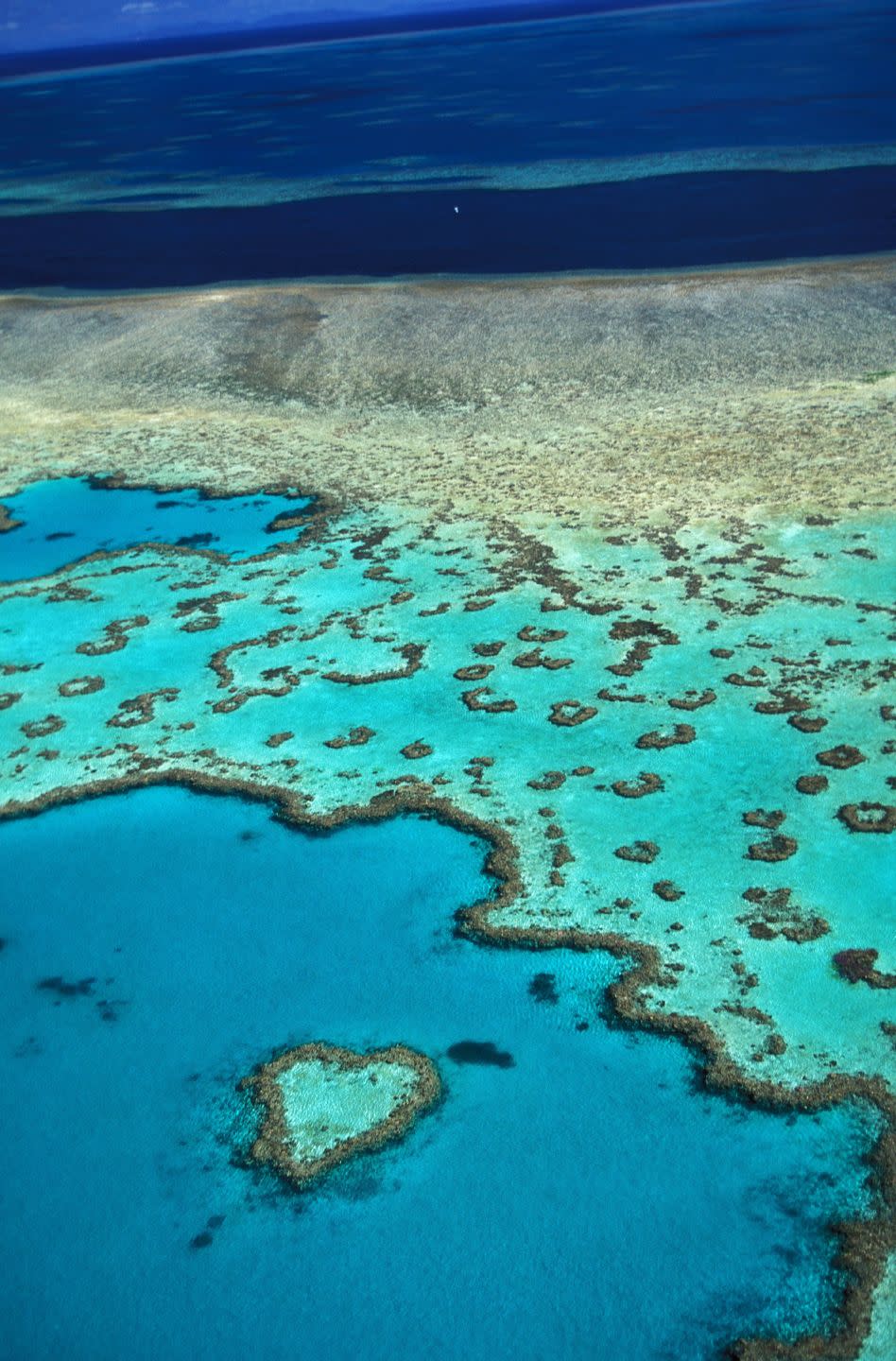 Great Barrier Reef, Australia