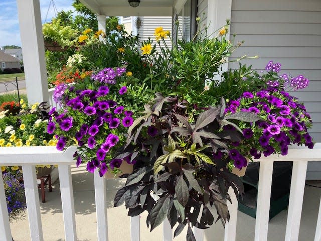 Twinsburg Garden Club's first Featured Garden for 2022 is the home of Nancy and Kenny Mathews on Merryvale Drive.