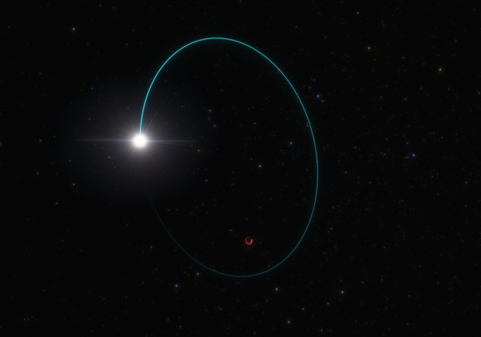 An artist's impression shows the orbits of both the star and the black hole, dubbed Gaia BH3, around their common center of mass. This wobbling was measured over several years with the European Space Agency’s Gaia mission. Additional data from other telescopes, including ESO’s Very Large Telescope in Chile, confirmed that the mass of this black hole is 33 times bigger than the sun.