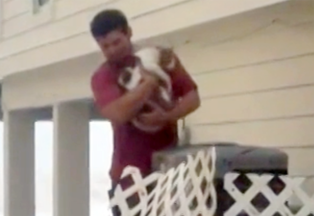 This man braved rising water to save a cat during Hurricane Ian. (NBC News)