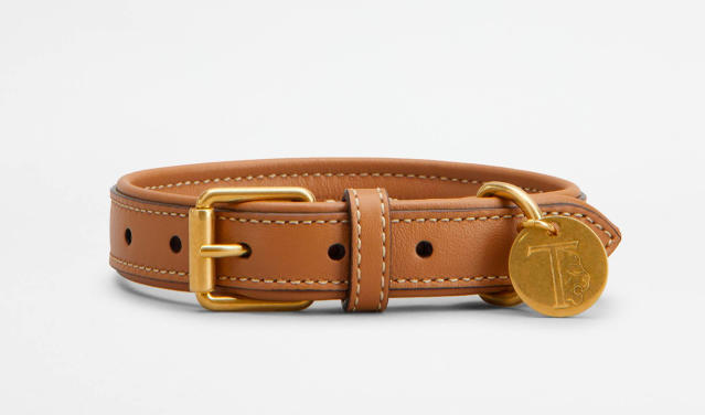 Designer Dog Collars Are Trending–Here Are 8 of Our Faves